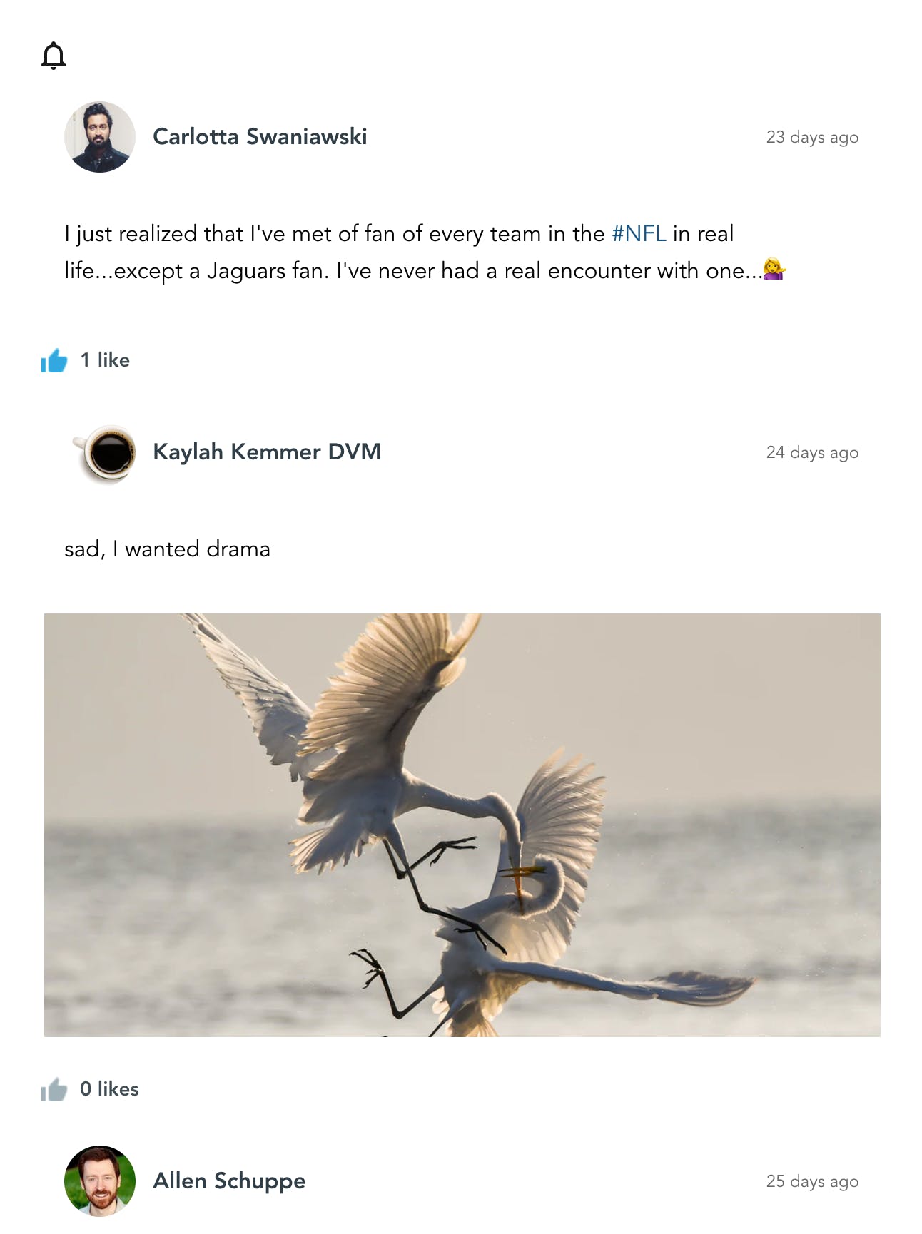 notification feed